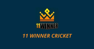 11 Winner cricket